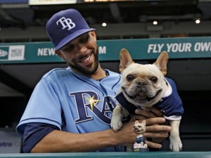 Tampa Bay Rays starting pitcher David Price poses with his dog "Astro" and a "Astro" bobblehead before a baseball game against the Oakland Athletics Sunday, April 21, 2013, in St. Petersburg, Fla. (AP Photo/Chris O'Meara) ORG XMIT: OTKCO103